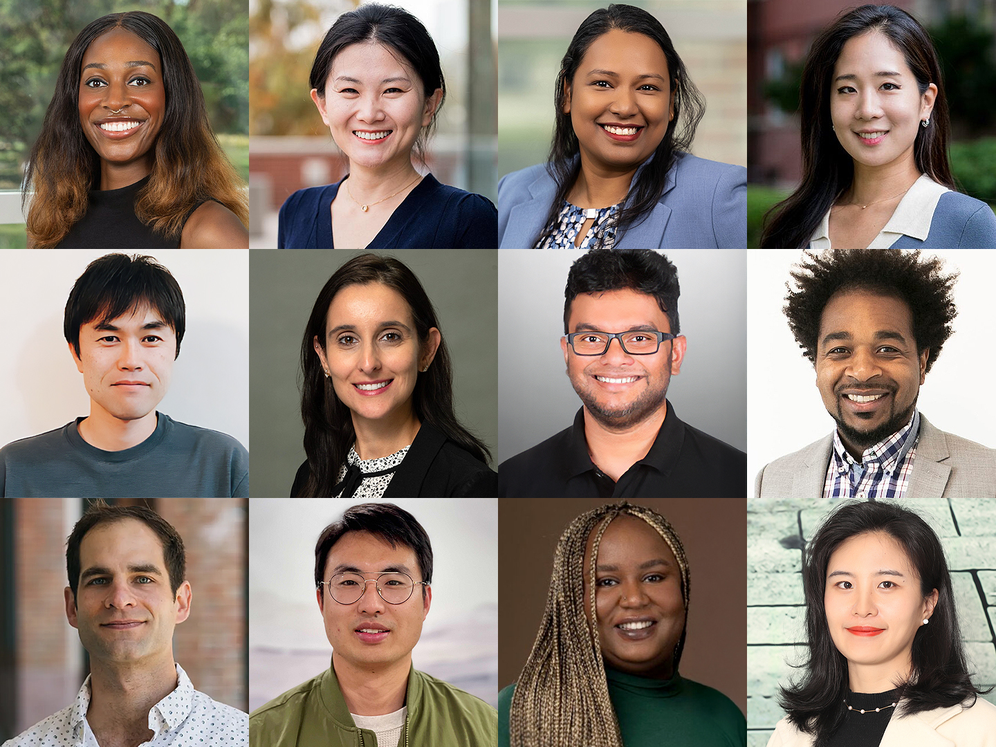 collage of 12 Illinois faculty