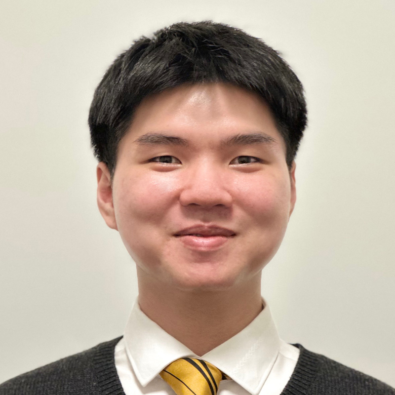 Manh Nguyen