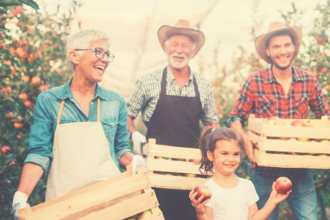 People in a garden carrying produce in wooden crates and smiling