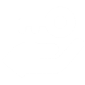 icon of hand holding key
