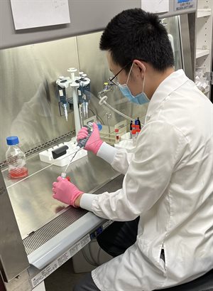 Andrew Ding preparing tissue for Mayo Clinic biobank