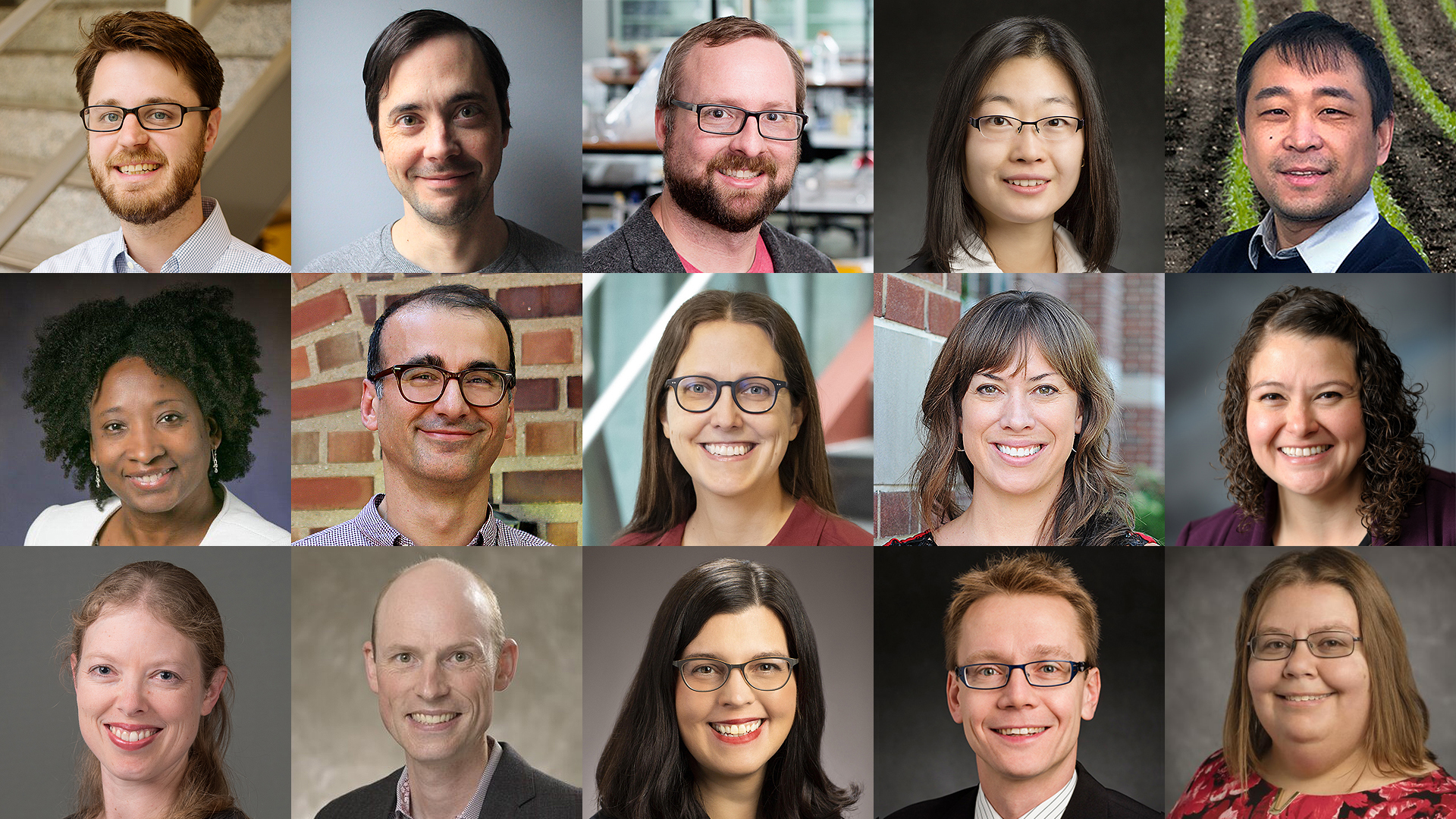 Richard Benton, Chris Brooke, Mark Davis, Ying Diao, Kaiyu Guan, Carla D. Hunter, Halil Kilicoglu, Colleen Lewis, Tara Leytham-Powell, Laura Mattie, Annette McCoy, Erik Nelson, Laura Rice, Andre Schleife, and Jodi Schneider